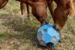 Balle à foin Hay Play