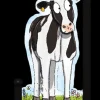 Chandelier Prestige Emily Cole - Vache