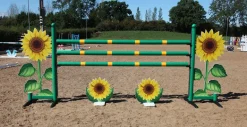 Chandelier Tournesol