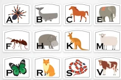 Lettres de dressage sur panneaux animaux