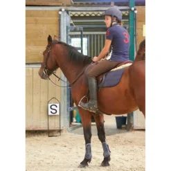 Lettres de dressage sur support