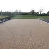 Lice de dressage d'entraînement