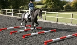 Lot de 4 Polepods pour obstacle chevaux