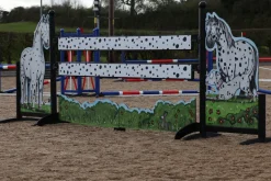 Obstacle complet Emily Cole - Seeing Spots