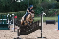 Obstacle de cross Coude