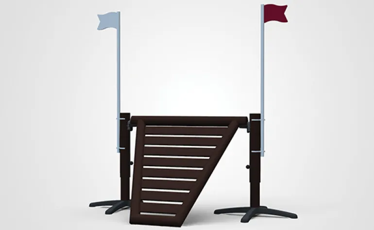 Obstacle de cross pointe V 1.20m