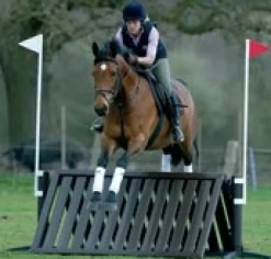 Obstacle de cross Table / Abri de faisan