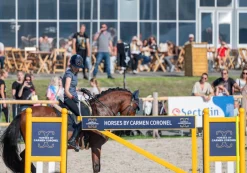 Obstacle Portail Équitation de Travail / Trec PTV
