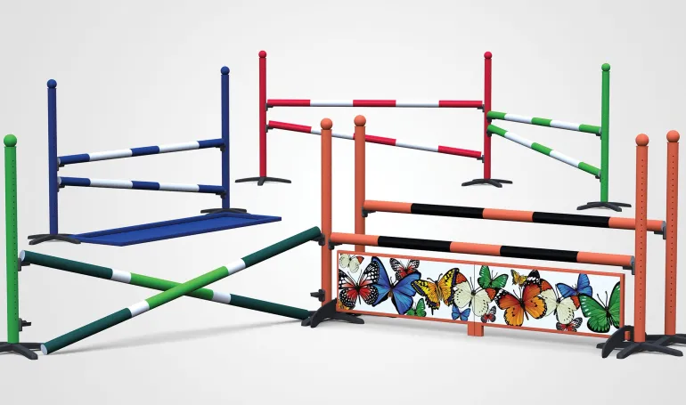 Parc d'obstacles CSO N°5