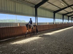 Pare-bottes pour manège