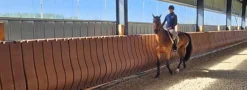 Pare-bottes pour manège