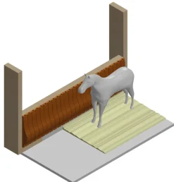 Pare-bottes pour manège