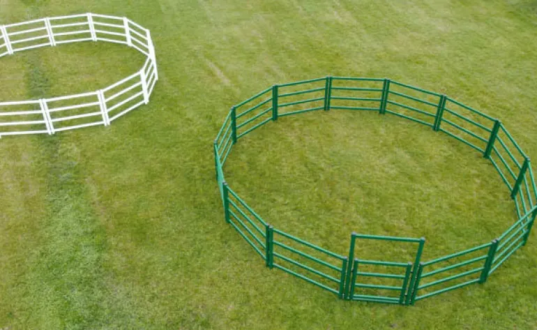 Rond de longe