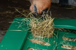 Râtelier slowfeeder Hay-Saver