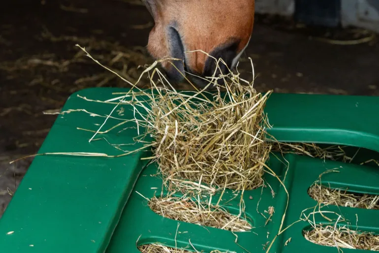 Râtelier slowfeeder Hay-Saver