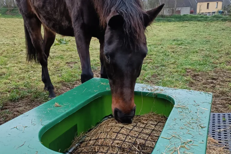 Râtelier slowfeeder Hay-Saver