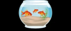 Soubassement aquarium effet 3D