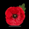 Soubassement Coquelicot