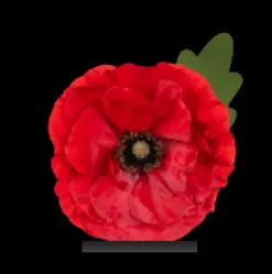 Soubassement Coquelicot