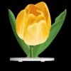 Soubassement CSO Tulipe