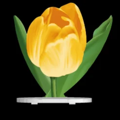 Soubassement CSO Tulipe