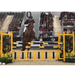 Soubassement obstacle CSO Echelle sur pieds