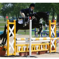 Soubassement obstacle CSO Echelle suspendue