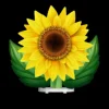 Soubassement Tournesol
