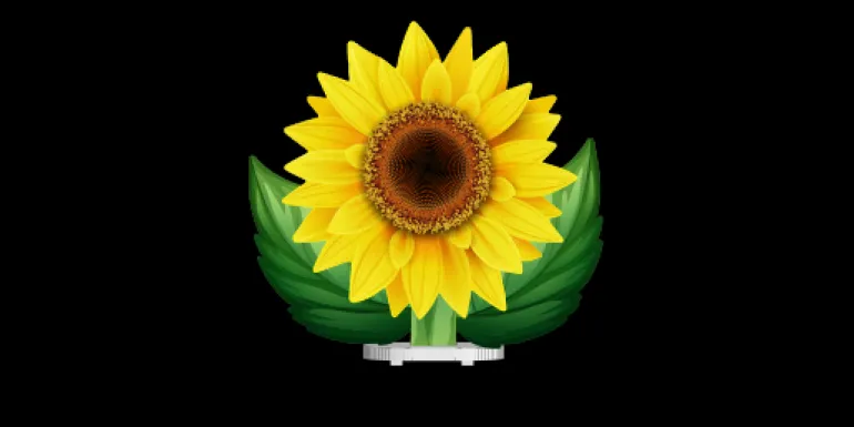 Soubassement Tournesol