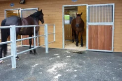 Tapis Belmondo Paddock