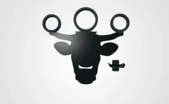 Taureau et ses anneaux Équitation de Travail