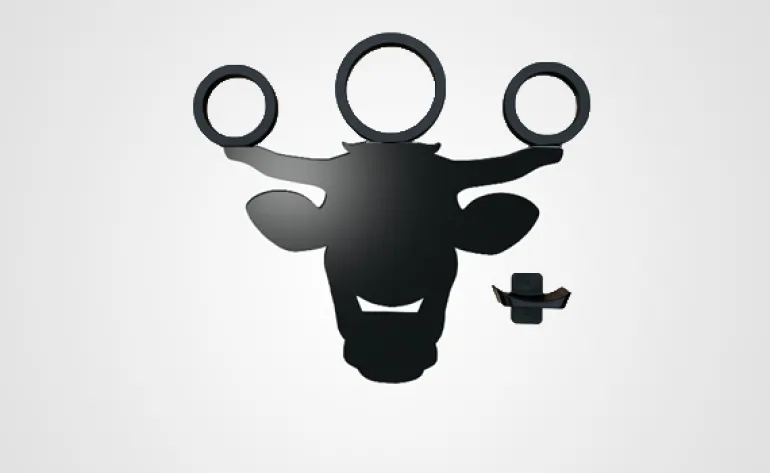 Taureau et ses anneaux Équitation de Travail